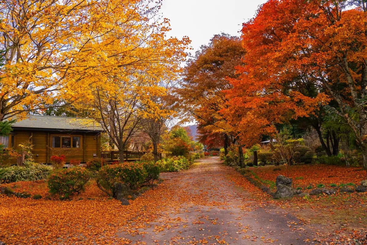 Japón deja a cualquier extranjero comprar una casa abandonada sin vivir allí, pero comprar no te da visa