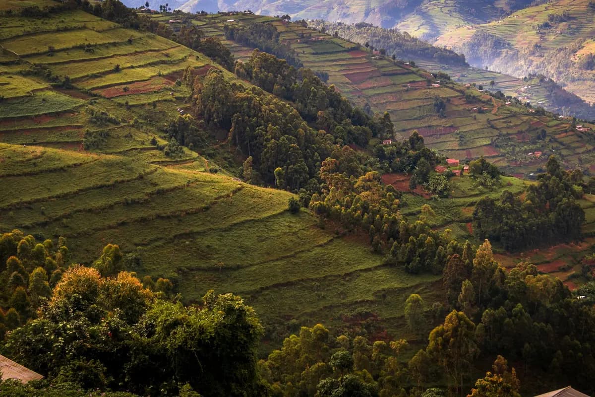 Ruanda tiene un permiso de dos años para vivir de un ingreso de afuera, por unos 110 dólares
