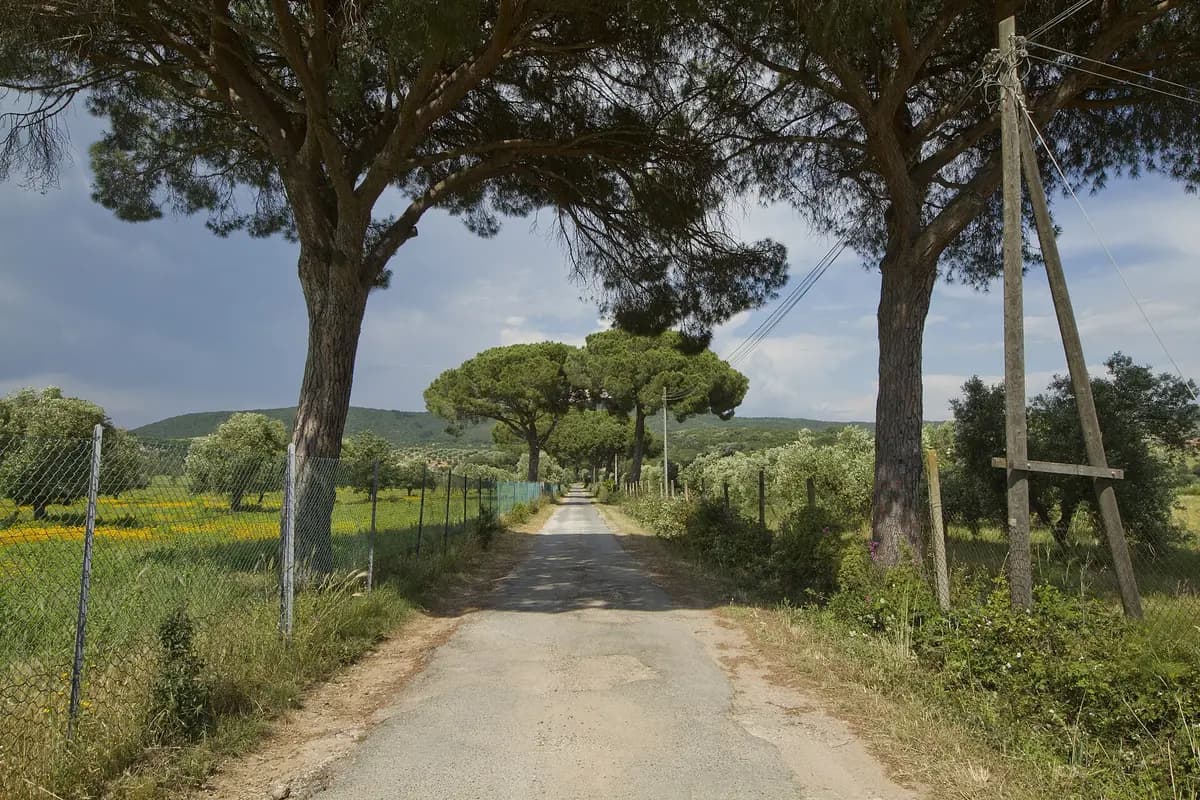 Un borgo de la Toscana paga hasta 7.000€ por tu primera casa, bando abierto hasta septiembre 2026